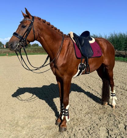 Vestiario Equino Dressuur Dekje Bordeaux