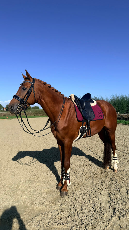 VE Dekje Dressuur Bordeaux