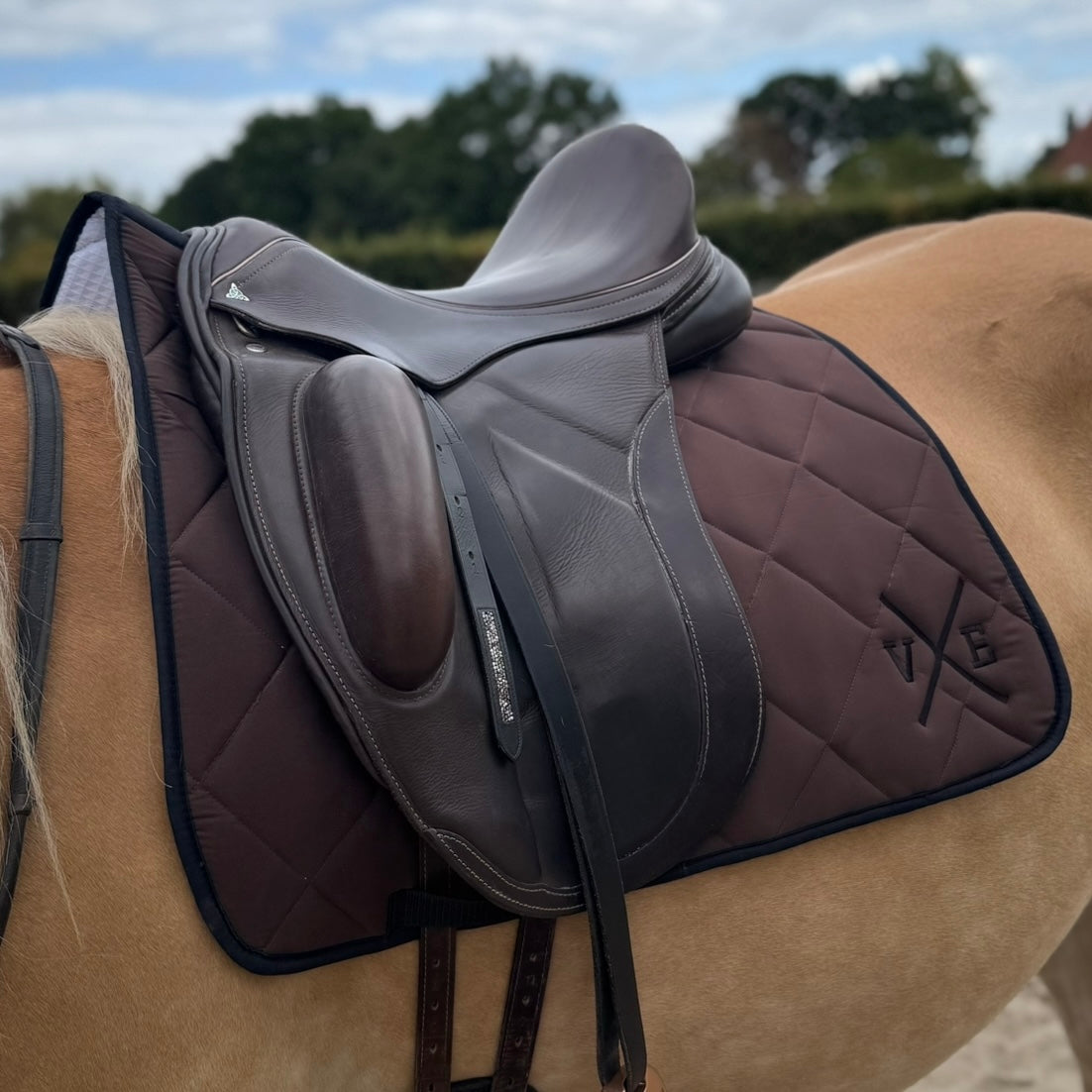 Vestiario Equino Dressuur Dekje Brown