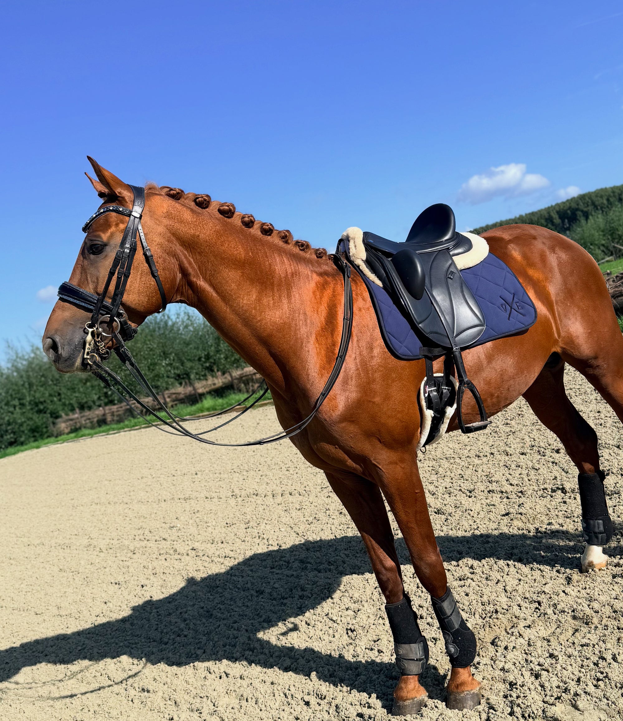 VE Dekje Dressuur Blauw