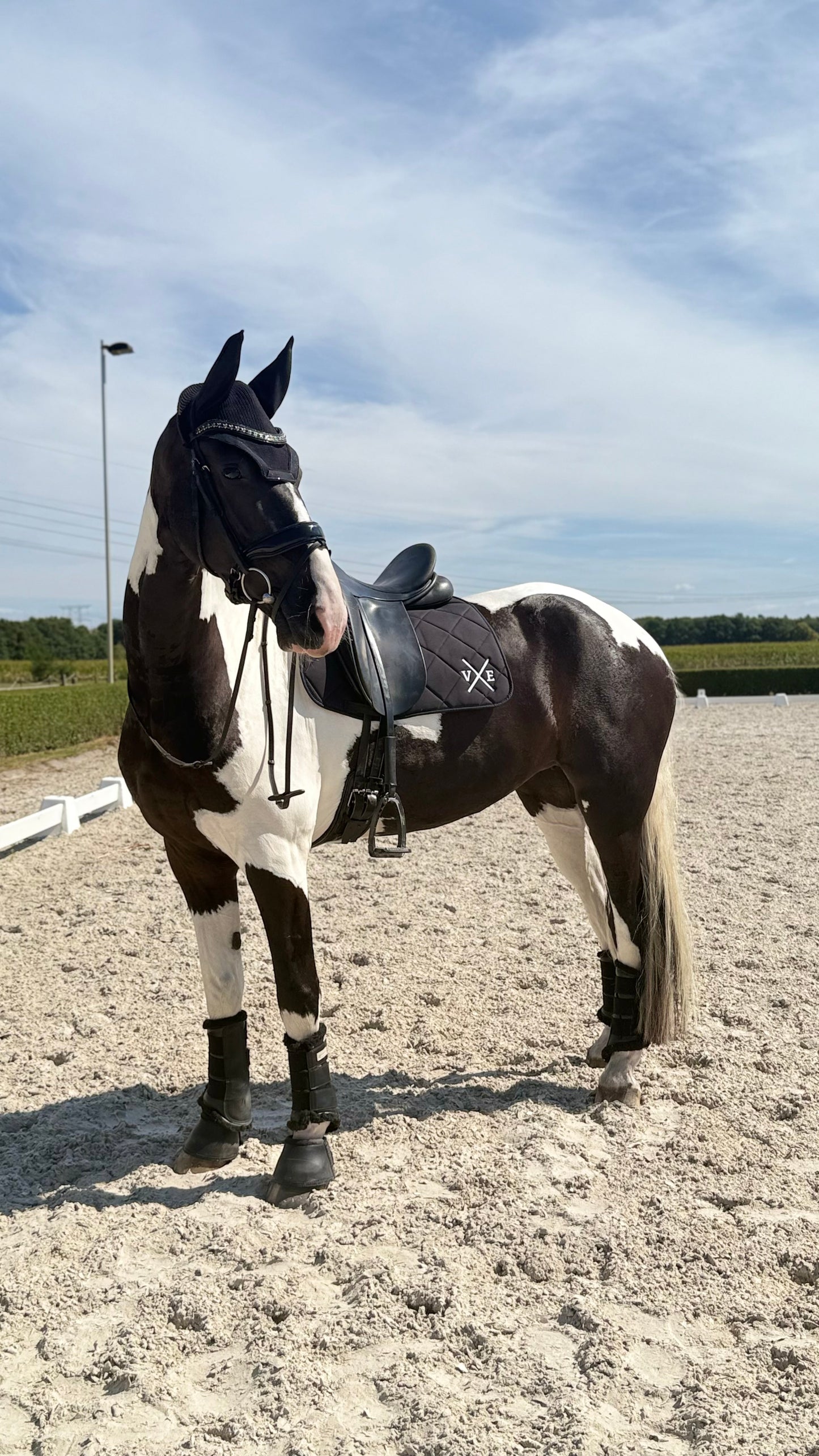 Signature Dressuur Dekje | Zwart