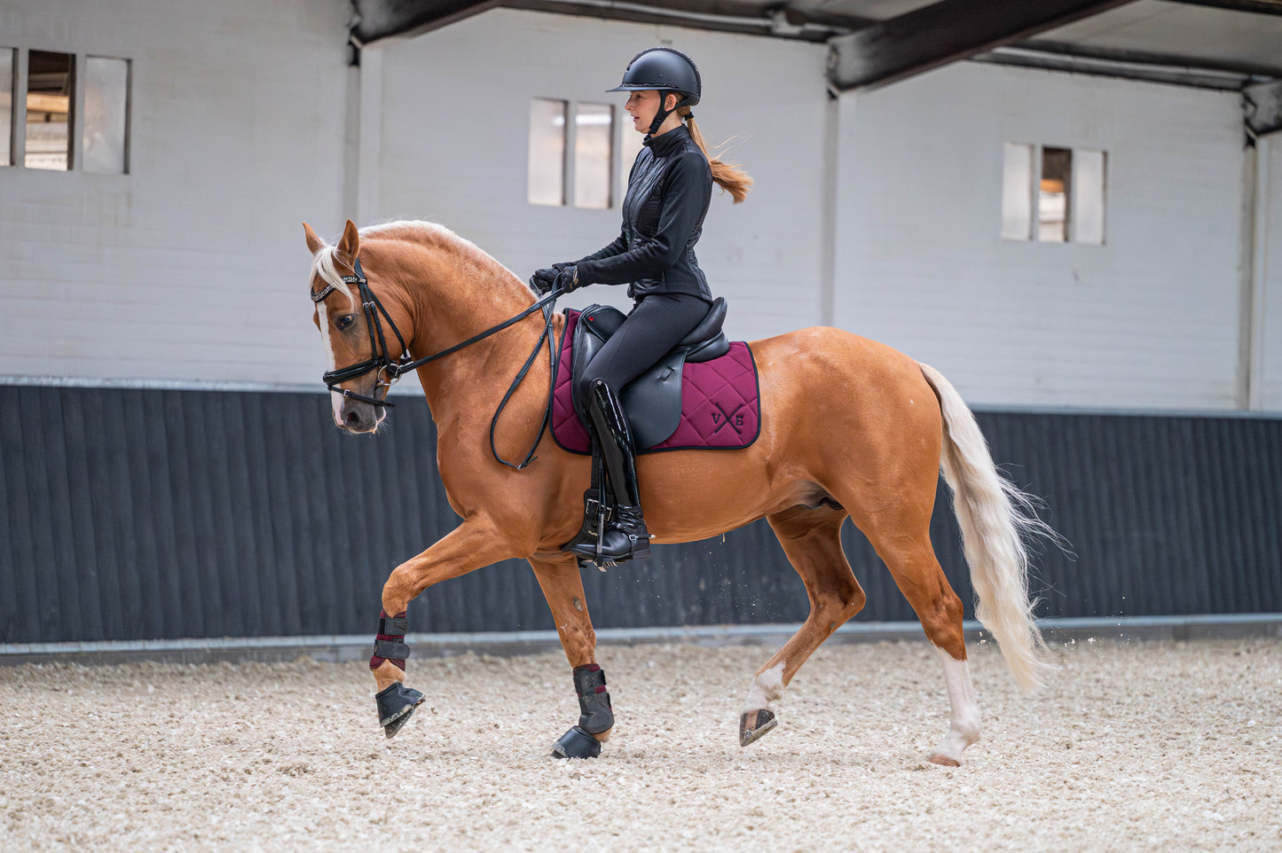 Vestiario Equino Dressuur Dekje Bordeaux