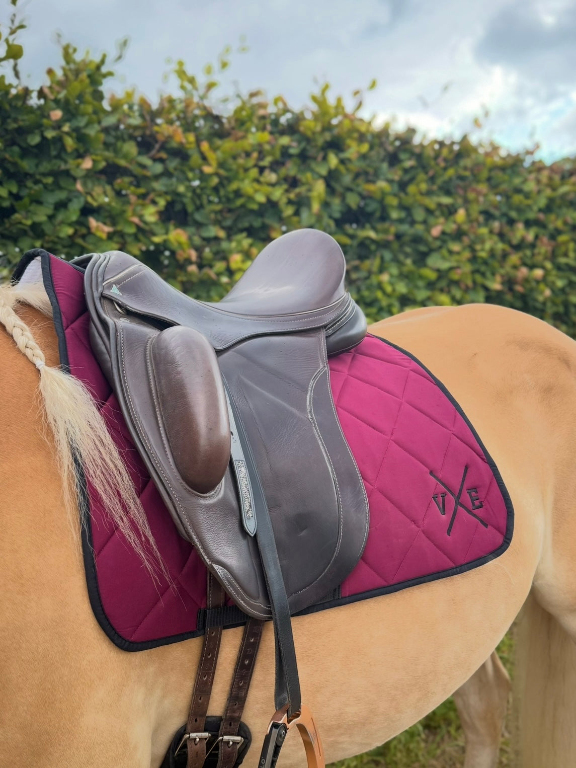 VE Dekje Dressuur Bordeaux